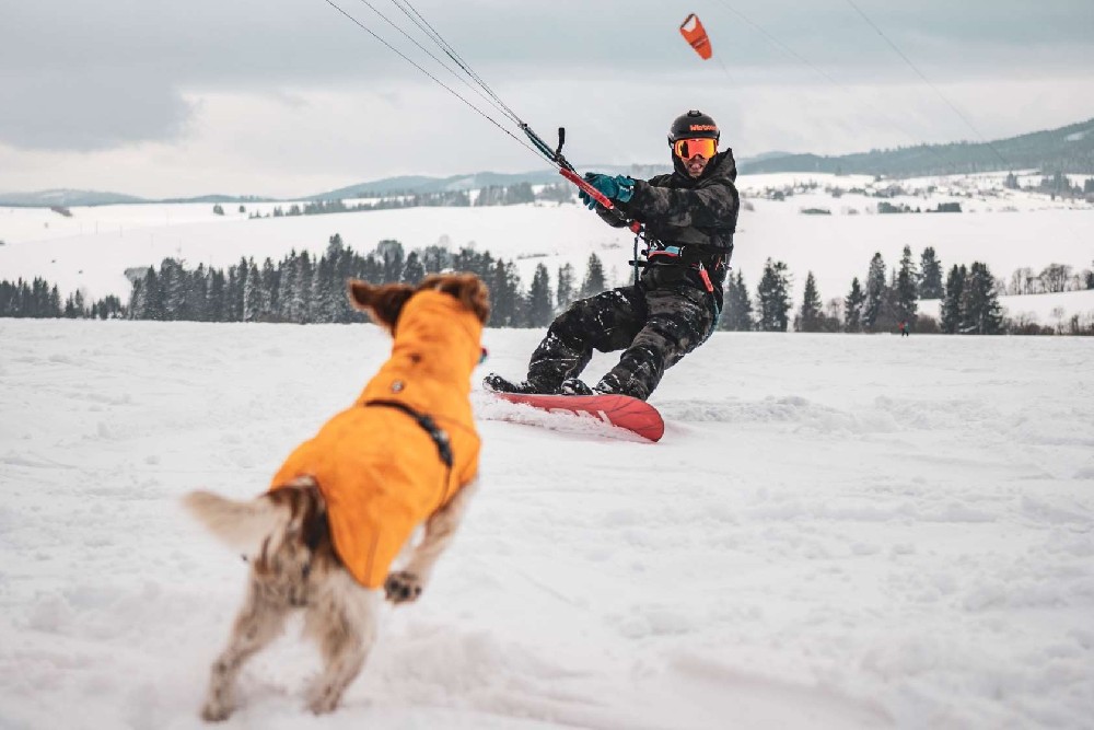 Photo promoting Visegrad scholarship