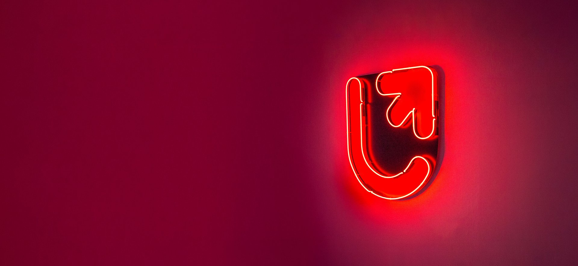 neon uniwersytetu łódzkiego