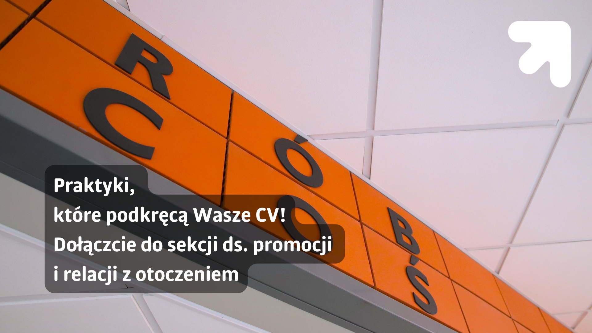 Rób coś - zapraszamy na praktyki
