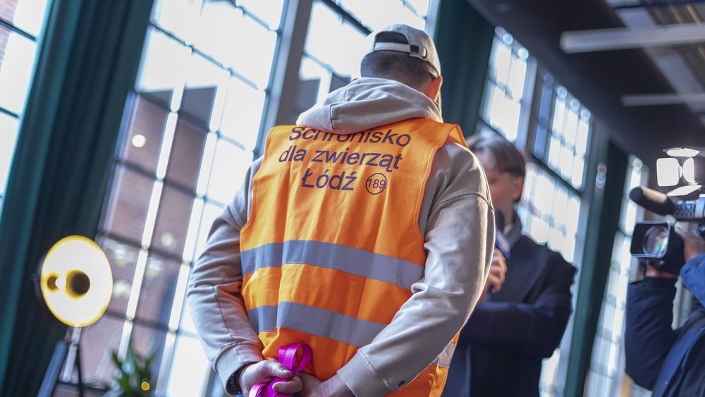 wolontariusz schroniska w pomarańczowej kamizelce