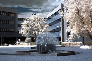 Zdjęcie budynku WZ UŁ w zimie, laureat w konkursie „WZ-ka okiem obiektywu” Zdjęcie budynku WZ UŁ w zimie, laureat w konkursie „WZ-ka okiem obiektywu”