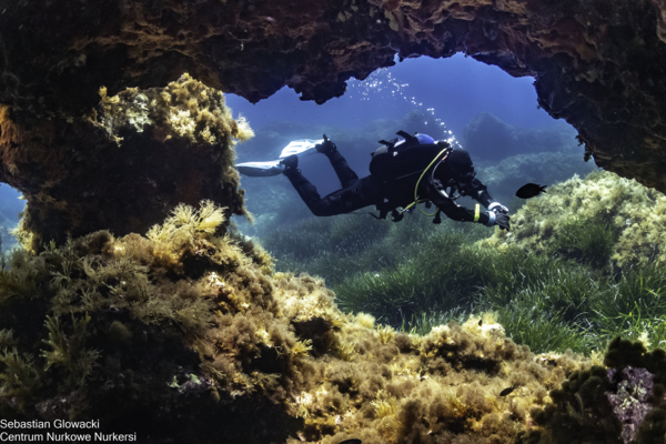 zdjęcie przedstawia nurka