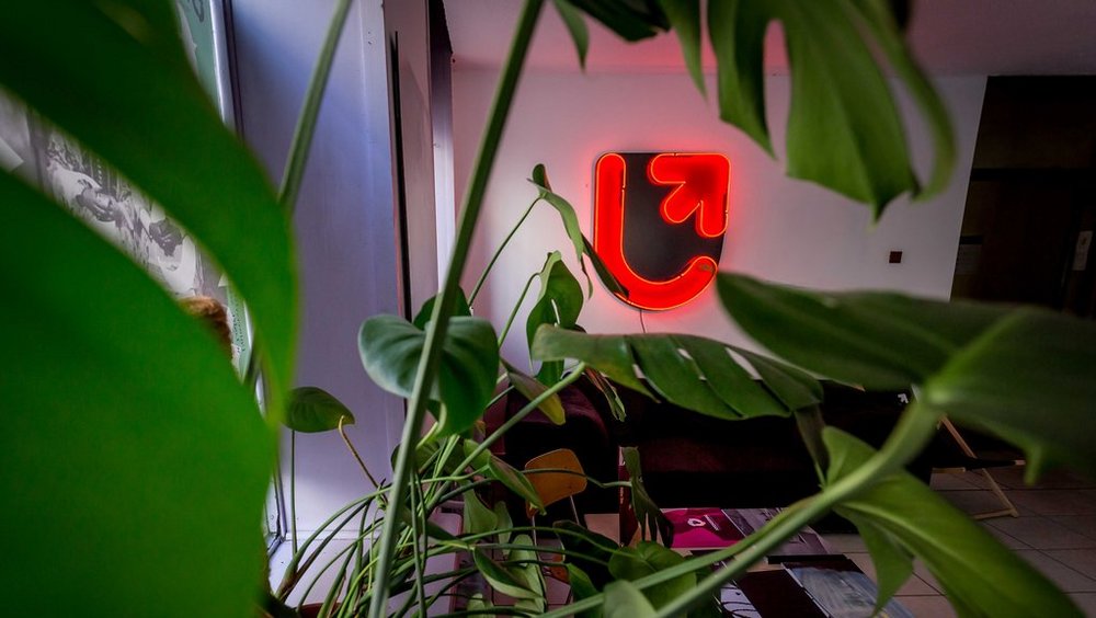 A photo depicting a room with a neon sign with the UniLodz logo and potted plants